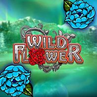 Wild Flower
