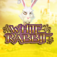 White Rabbit
